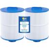 In The Swim Filter Cartridge 2-Pack Replacement for Artesian Spas 50
