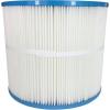 In The Swim Premium Pool Filter Cartridge Replacement for Pentair Clean and Clear 75 Predator CC75 Filter(Premium)