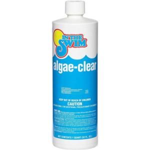 In The Swim Algae-Clear for Above Ground or Inground Swimming Pools – Powerful, Non-Foaming Algaecide and Water Clarifier – Removes Green, Yellow/Mustard, and Black Algae – 1 Quart(1 Qt.)
