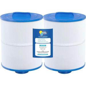 In The Swim Filter Cartridge 2-Pack Replacement for Artesian Spas 50