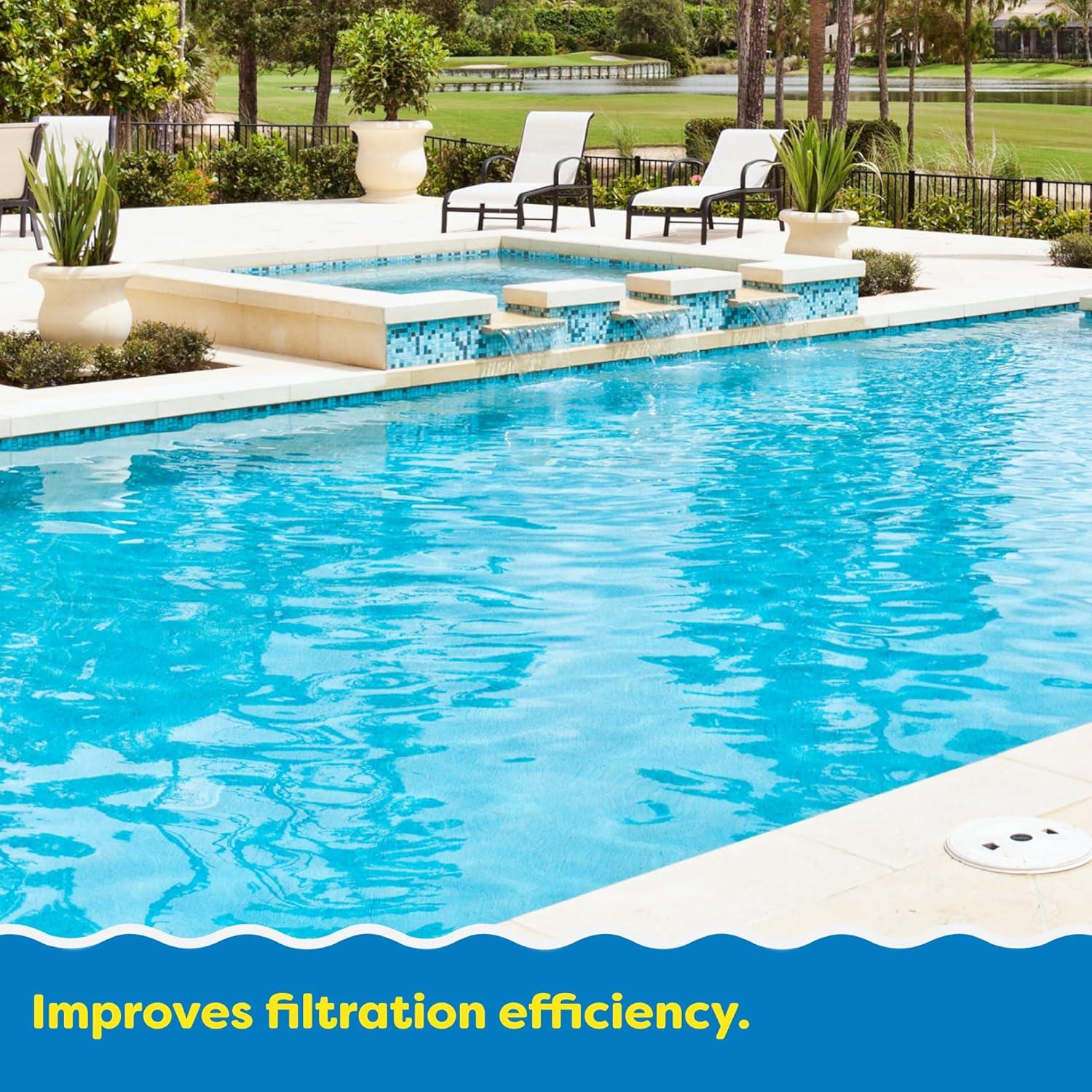 image:imageIn The Swim Sparkle Plus Pool Clarifier Cube Clear Cloudy Pool Water Fast Safe for Saltwater amp Chlorine Pools 6 Ounce 2 Pack4Pack